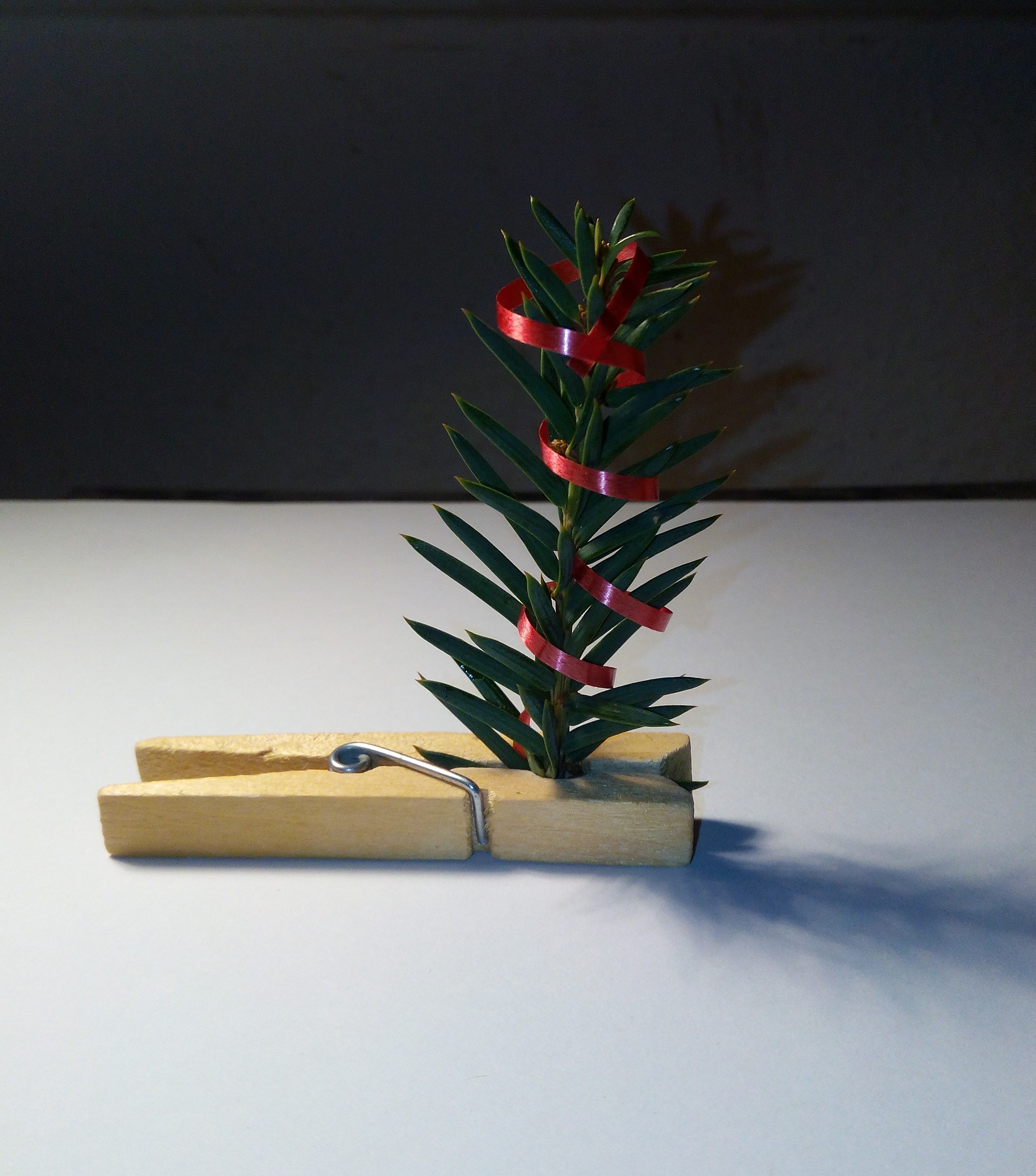 Miniatur Weihnachtsbaum bestehend aus einem Zweig, umwickelt mit Geschenkband